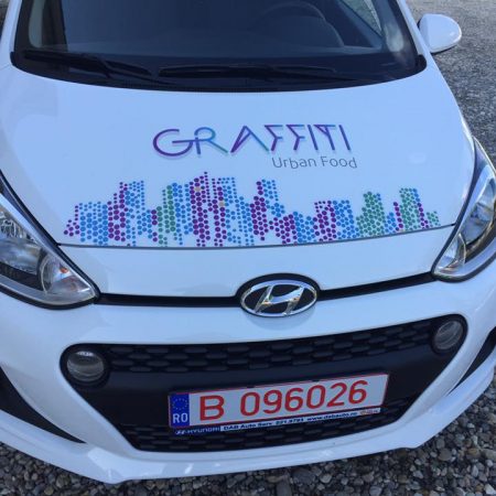 Autoturism de distribuție medicamente inscripționat cu logo-ul unei farmacii
